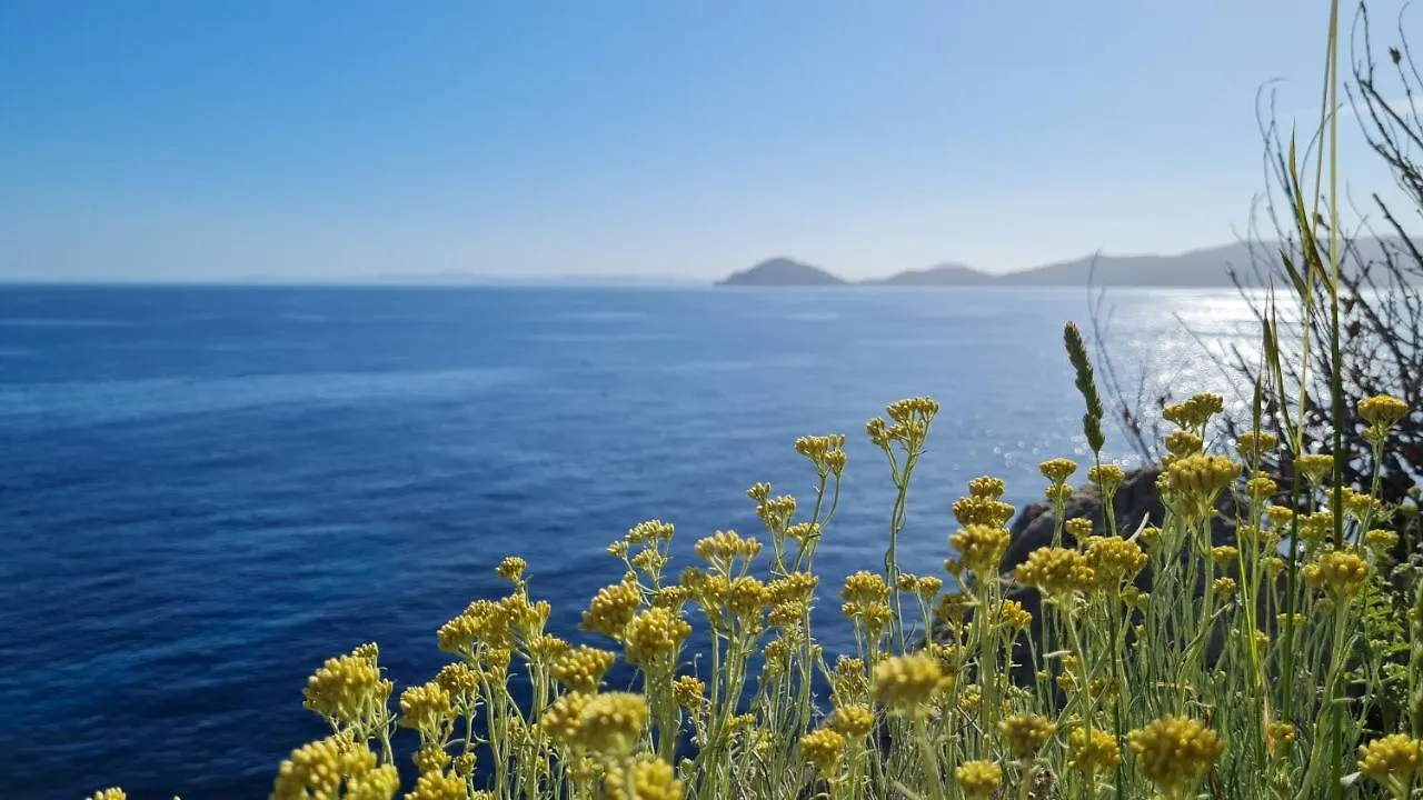 Appartamento La Casina di Redinoce Marciana  0*, Marciana (Isola d'Elba)